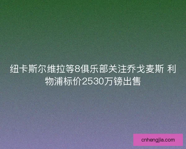纽卡斯尔维拉等8俱乐部关注乔戈麦斯 利物浦标价2530万镑出售
