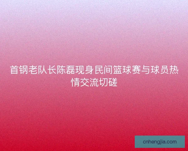 首钢老队长陈磊现身民间篮球赛与球员热情交流切磋
