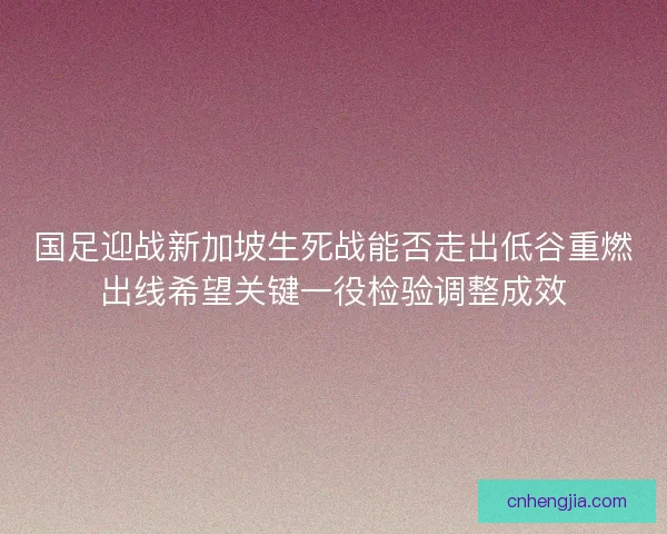 国足迎战新加坡生死战能否走出低谷重燃出线希望关键一役检验调整成效